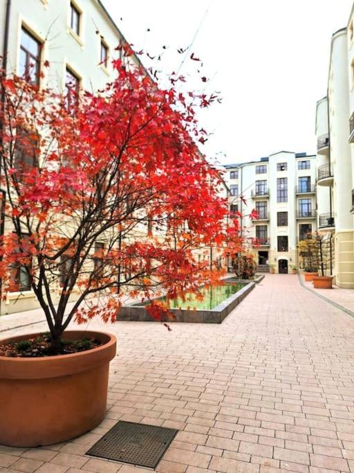 Gold City Point Piotrkowska 37 วูดช์ ภายนอก รูปภาพ